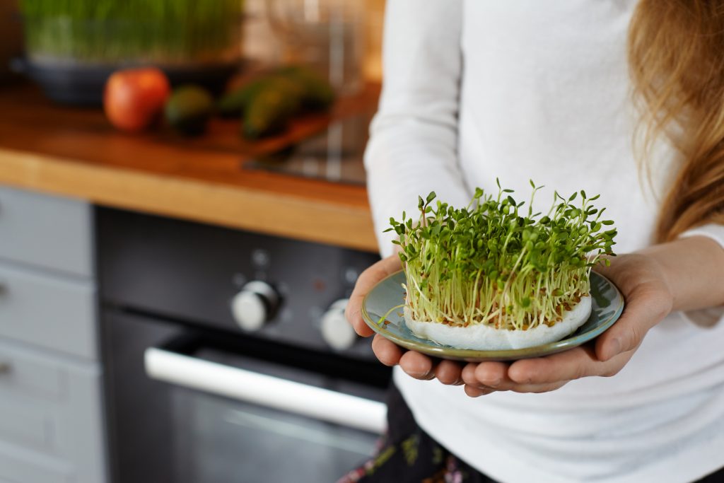 Microgreens , Health benefits & How to grow