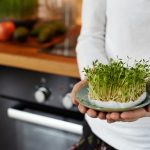 Microgreens , Health benefits & How to grow