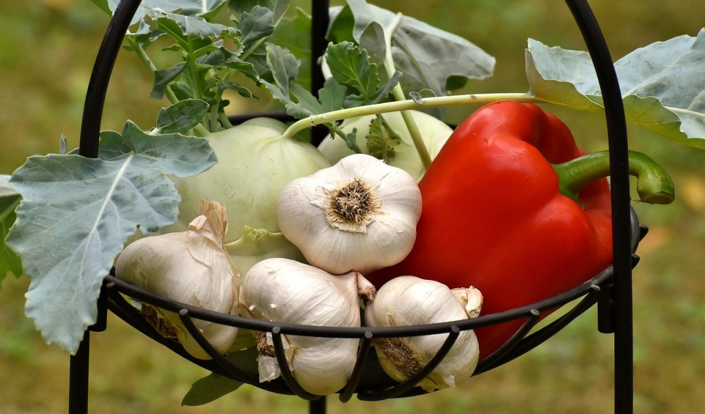 Health benefits of garlic